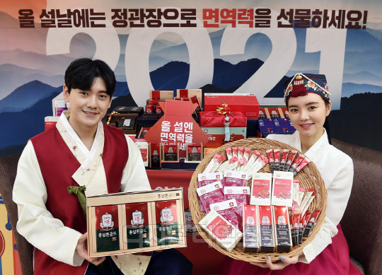 <사진제공=정관장>